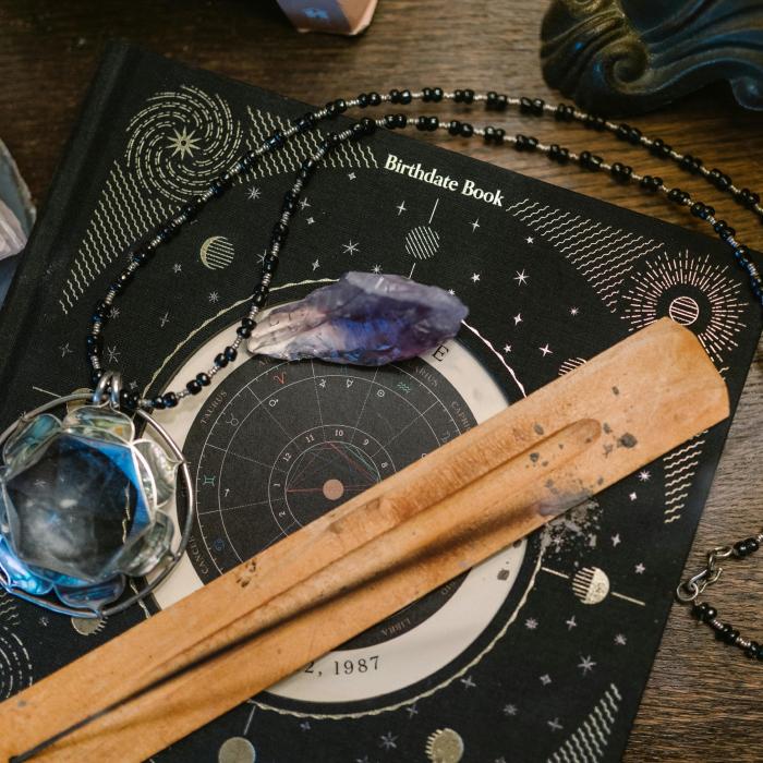 Astrologer vastu sastra services